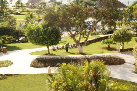 Beautiful backyard landscape, abstract travel background  の写真素材