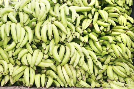 Green plantains (bananas) の写真素材