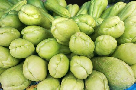 Background of organic choko Sechium edule vegetable pearsの写真素材