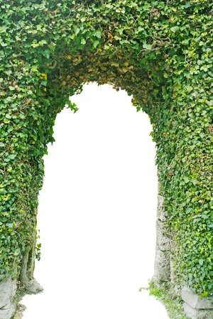 Entrance made of green grass isolated.
の写真素材