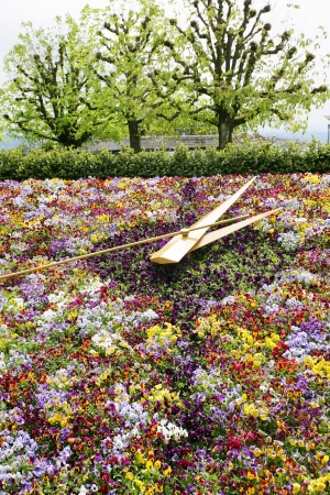 large flower clock in Switzerlandの写真素材