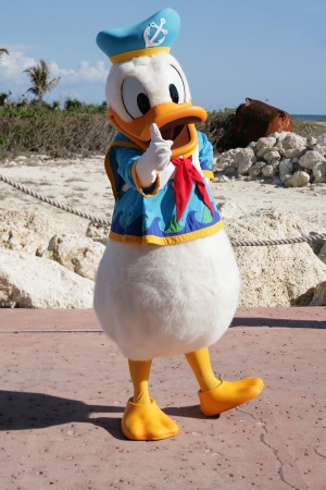 ORLANDO, FL- FEB 5:  Donald duck dressed as a captain walking around on the beach of Cape Canaveral in Orlando, Florida on Feb 5 2013.のeditorial素材