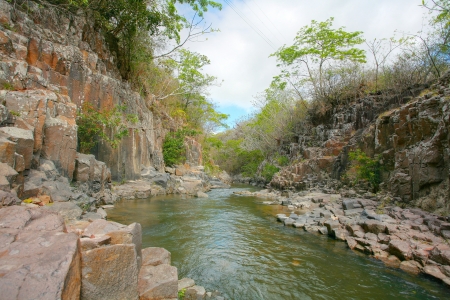 Stream in the tropical forest. の写真素材