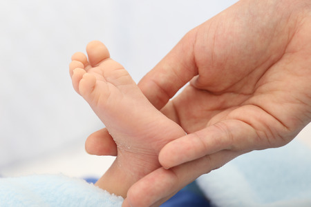 Hands holding a baby footの写真素材