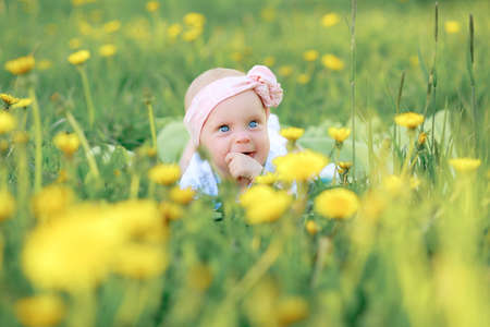 Cute little girl blowing on dandelions on meadow.の写真素材