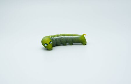 Green tea worm is very cute.