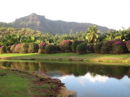 Tropical Paradise with mountains and flowering bush reflecting in waterの写真素材
