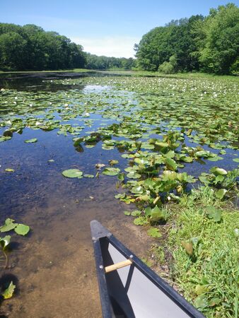 Canoe Just Entering Waterの写真素材