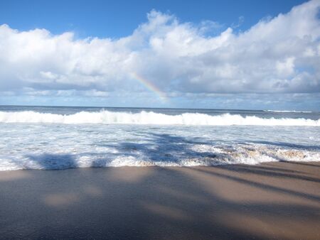 Rainbow Over Pacific Ocean With Palm Tree Shadowsの写真素材