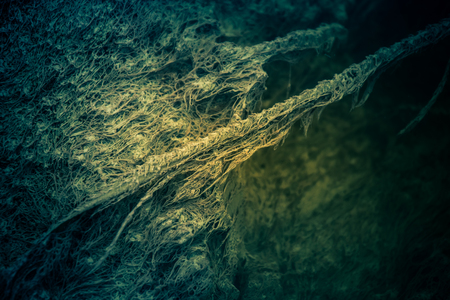 A strange looking underwater structures in a pond with sulfur sludgeの写真素材
