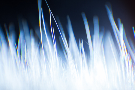 Abstract macro of fur in blue tones. Shallow depth of field, artistic colors, decorative look.の写真素材
