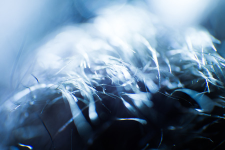Abstract, colorful macro of a goat's fur. Shallow depth of field, artistic colors, decorative look.の写真素材
