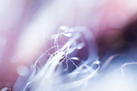 Abstract, colorful macro of a goat's fur. Shallow depth of field, artistic colors, decorative look.の写真素材