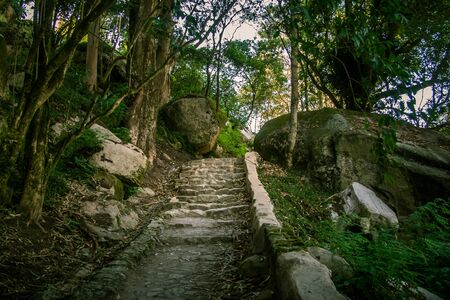 A beautiful view of park in Sintra, Portugalの写真素材