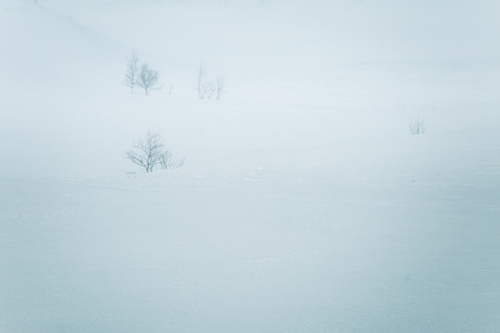 A beautiful, minimalist landscape of flat, snowy Norwegian field. Clean, light, high key, decorative look.の写真素材