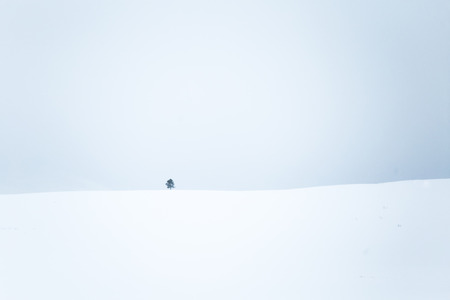 A beautiful, minimalist landscape of flat, snowy Norwegian field. Clean, light, high key, decorative look.の写真素材
