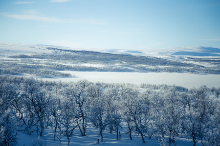 A beautiful forest landscape of a snowy Norwegian winter day