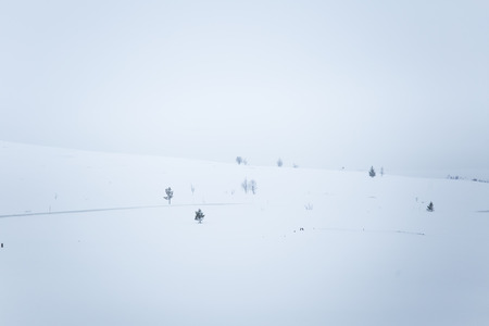 A beautiful, minimalist landscape of flat, snowy Norwegian field. Clean, light, high key, decorative...