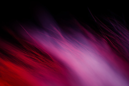 Abstract, colorful macro of a goat fur. Shallow depth of field, artistic colors, decorative look.の写真素材