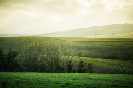 A beautiful field scenery of Slovakia. Warm summer haze, colorful contrast look.