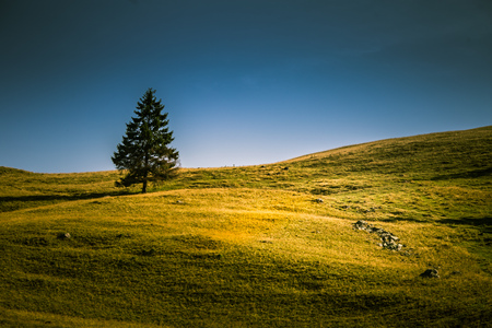 A beautiful mountain landscape in Carpathian mountains, Romaniaの写真素材