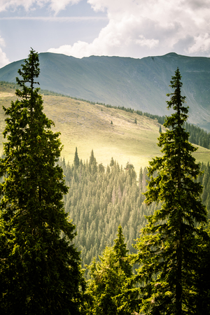 A beautiful mountain landscape in Carpathian mountainsの写真素材