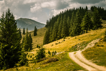 A beautiful mountain landscape in Carpathian mountainsの写真素材