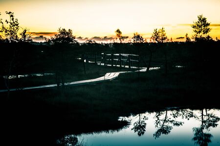 A beautiful, colorful, artistic landscape of a marsh in sunrise in autumn.