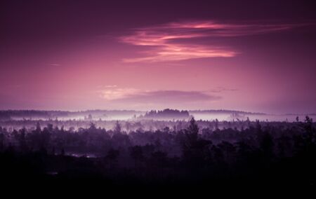 A beautiful, colorful, artistic landscape of a marsh in sunrise in autumn.の写真素材