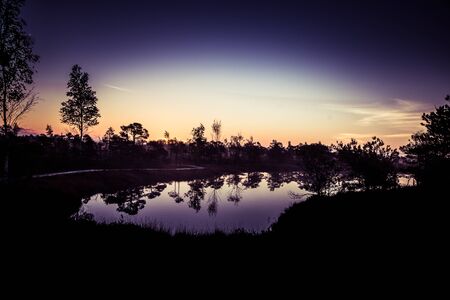 A beautiful, colorful, artistic landscape of a marsh in sunrise in autumn.の写真素材