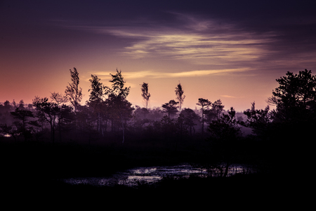 A beautiful, colorful, artistic landscape of a marsh in sunrise in autumn.の写真素材