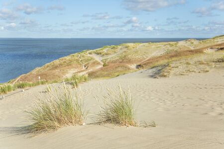 A beautiful sand dunes in a Neringa National park. Travel photo