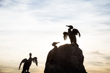 A beautiful bird statues on the Morecambe coastの写真素材