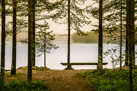 A beautiful lake landscape in Finlandの写真素材