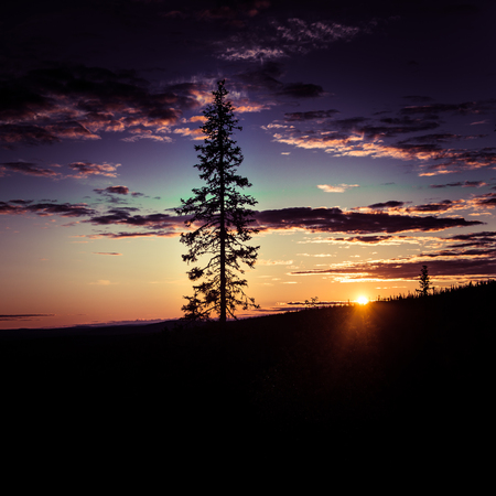 A beautiful landscape with a midnight sun above arctic circle. Dreamy scenery with light flaresの写真素材