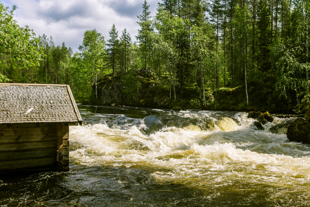 A beautiful scenery with a river rapids in Finlandの写真素材