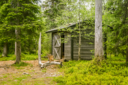 A beautiful small wooden building in the middle of Finnish forestのeditorial素材