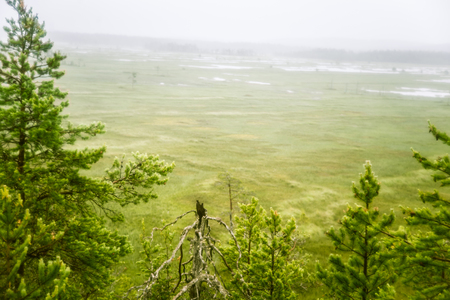 A beautiful mire landscape in Finland - dreamy, foggy lookの写真素材