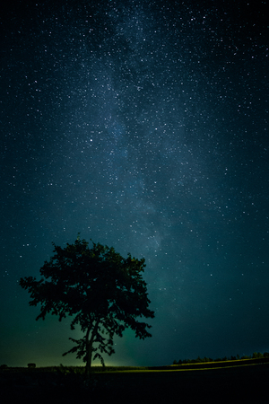 The Milky Way above a lone treeの写真素材