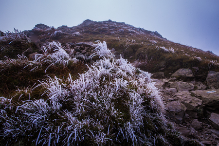 A beautiful mountain landscape in Tatry, Slovakiaの写真素材
