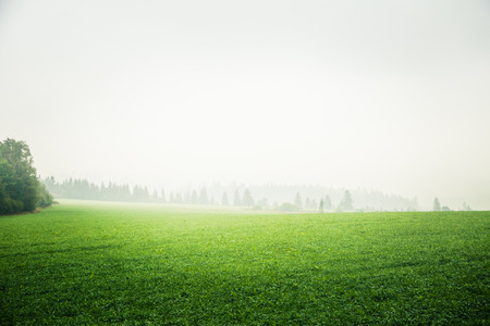 A beautiful misty Slovakian mountain scenery in Low Tatrasの写真素材