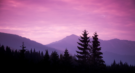 A beautiful colorful sunset in Tatra mountains. Decorative lookの写真素材