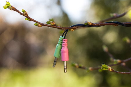 Computer details in the garden in spring. Symbolic arrival of the new life.