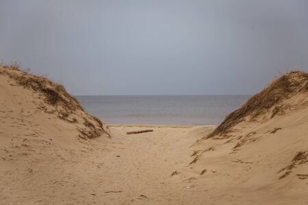 A beautiful landscape of dunes on the coastline of Baltic sea