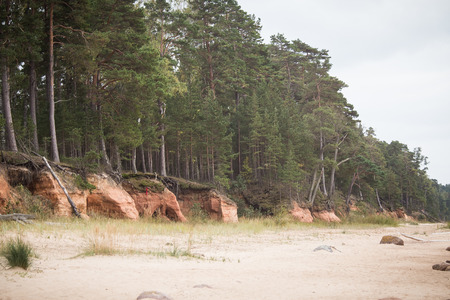 A calm beach landscape in Latvia. Beautiful seaside scenery at the baltic sea. An autumn near the sea.の写真素材
