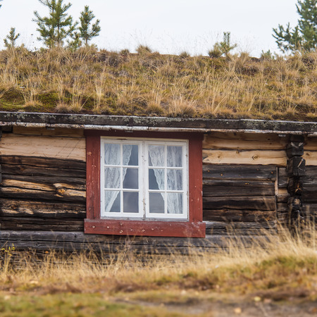 A beautiful wooden house in the forest with a grass and moss growing on a roof. Natural roof, traditional building in Norway. Beautiful autumn scenery.の写真素材
