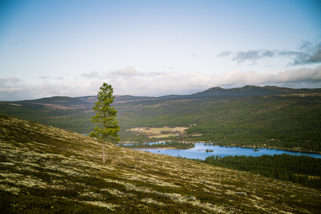 A beautiful lake in the mountain valley. View from above. Colorful autumn landscape in central Norway.の写真素材