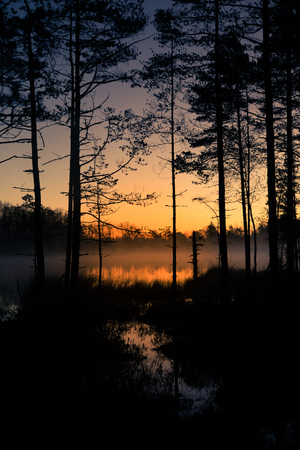 A beautiful sunrise on a lake with a raising mist. Beautiful morning in wetlands in Latvia. Autumn landscape in bright colors.の写真素材