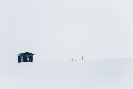 A beautiful minimalist landscape in heavy snowfall. Blizzard in central Norway.の写真素材