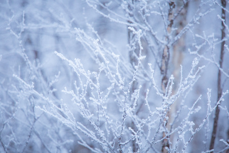 A beautiful winter landscape with snowy trees and mountains in a distance in central Norway.